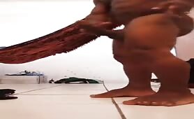 Black midget bull showing his delicious huge cock